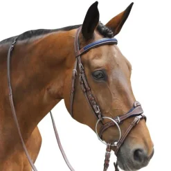 Bridon Paris Flags&Cup