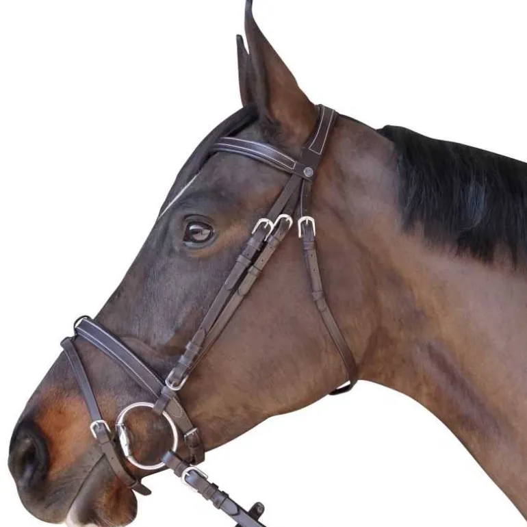 Bridon plat doublé Canter