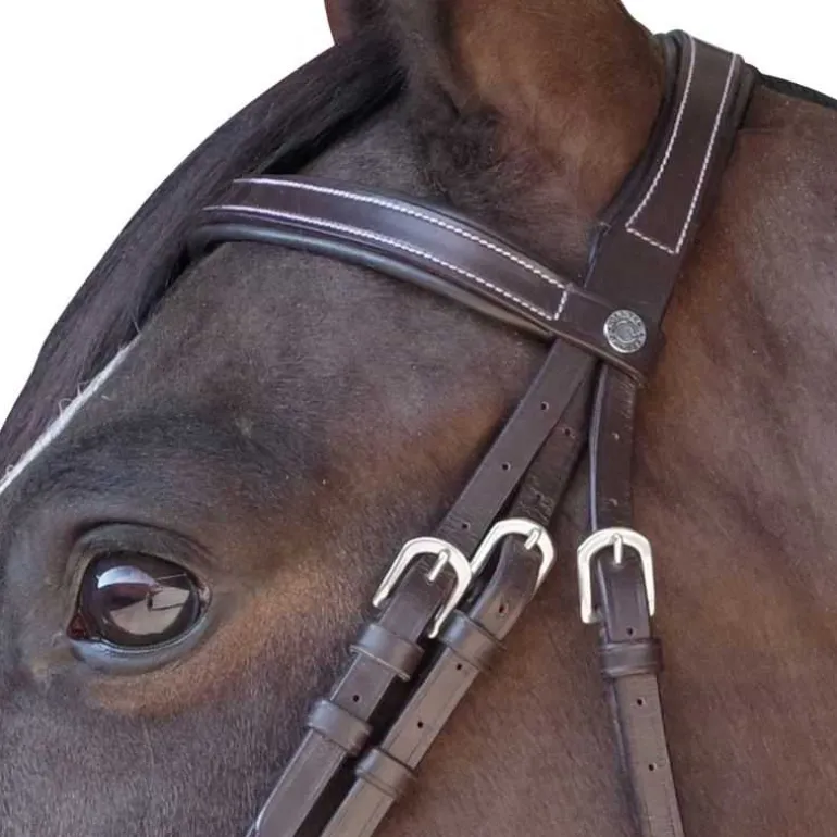 Bridon plat doublé Canter