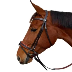Bridon plat doublé Donatello Canter