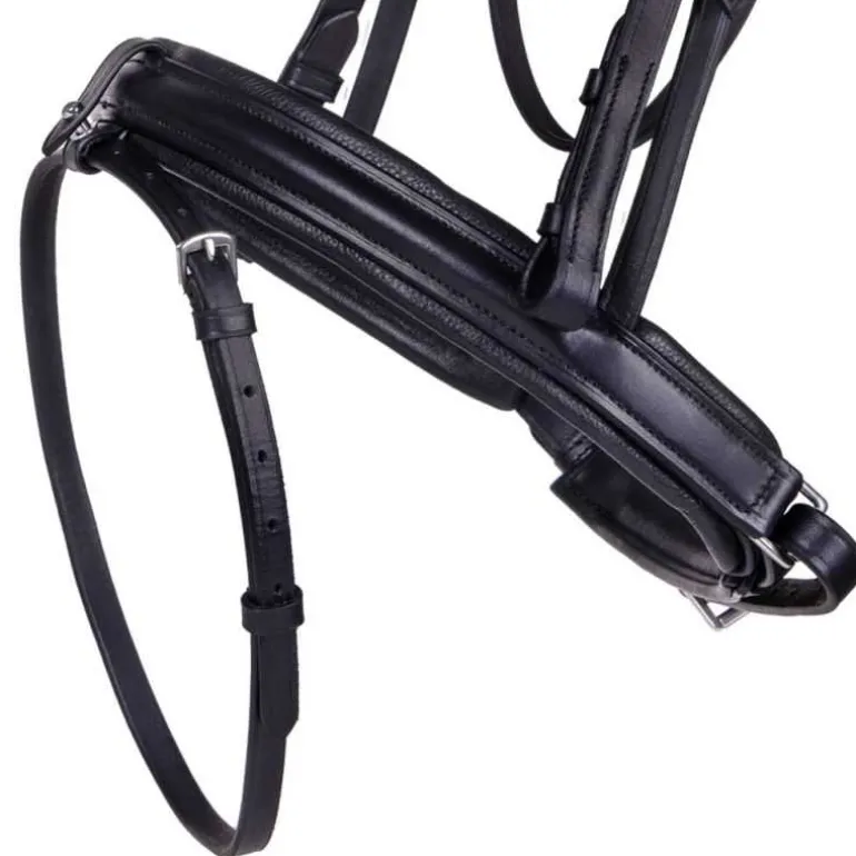 Bridon pour cheval de trait Elegance QHP