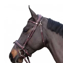 Bridon pull back Madrid Flags&Cup