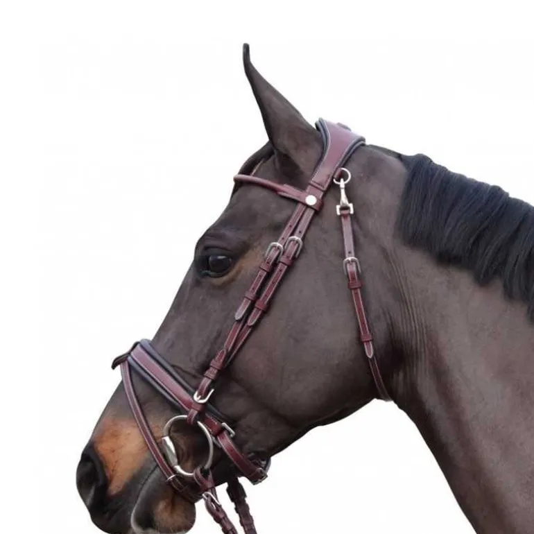 Bridon pull back Madrid Flags&Cup