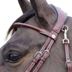 Bridon pull back Madrid Flags&Cup