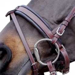 Bridon pull back Madrid Flags&Cup