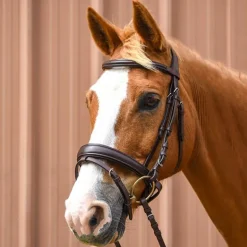 Bridon Pull-Back Cuir Souple Stationata