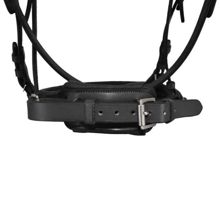 Bridon Pull-Back Cuir Souple Stationata