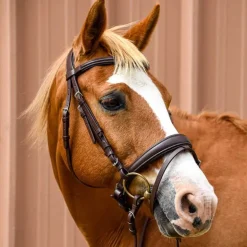 Bridon Pull-Back Cuir Souple Stationata