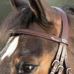 Bridon Regular HFI Master