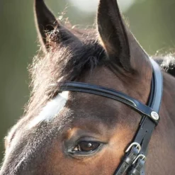 Bridon Regular HFI Master