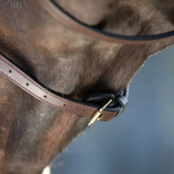 Bridon Regular HFI Master