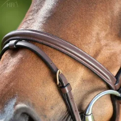 Bridon Regular HFI Master