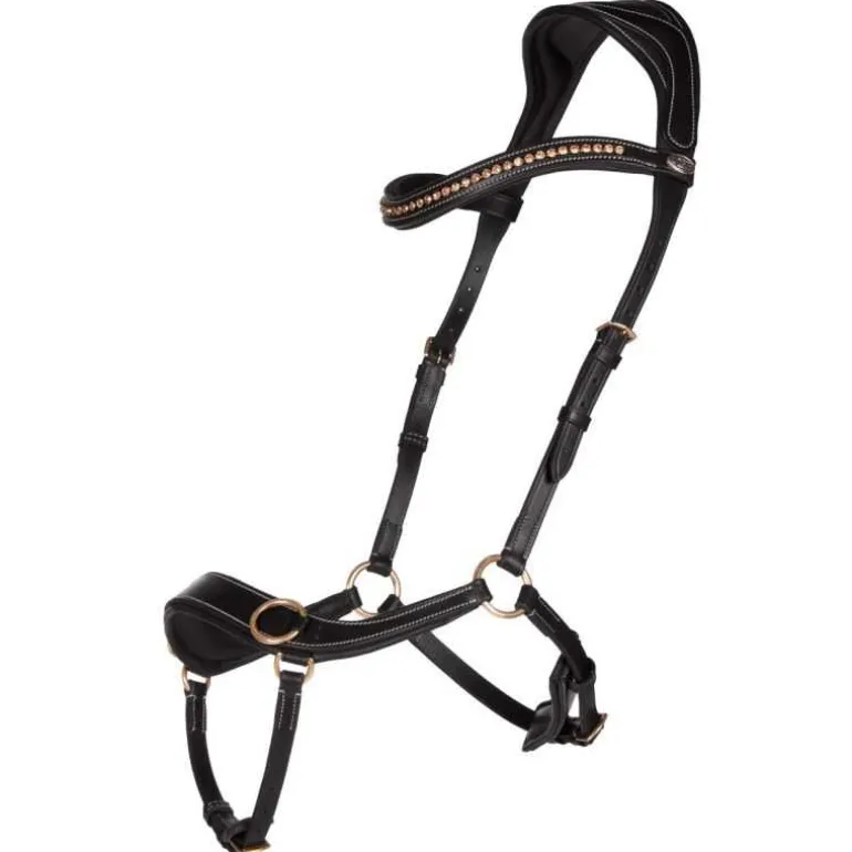 Bridon sans mors anatomique QHP