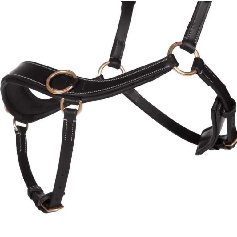 Bridon sans mors anatomique QHP