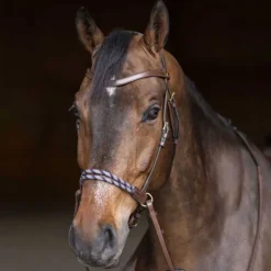 Bridon sans mors Freedom HFI Master