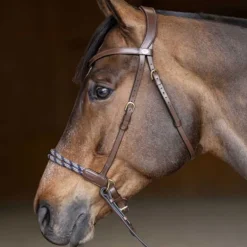 Bridon sans mors Freedom HFI Master