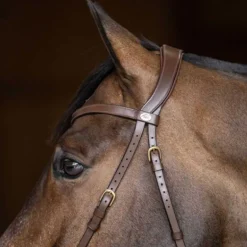Bridon sans mors Freedom HFI Master