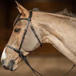 Bridon sans mors Freedom HFI Master