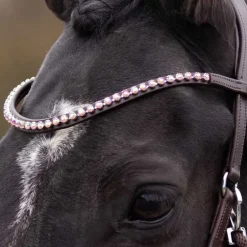 Bridon sans mors Sunna