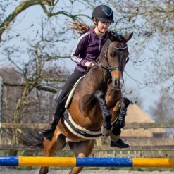 Bridon sans mors Sunna