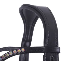 Bridon sans mors Sunna