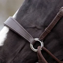 Bridon sans mors Sunna