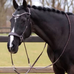 Bridon sans mors Sunna