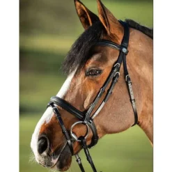 Bridon Soft HFI Master