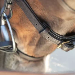 Bridon Soft HFI Master