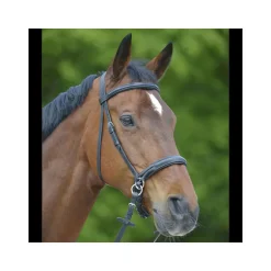 Bridon Star sans mors