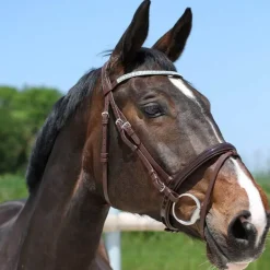 Bridon strass et verni Stationata