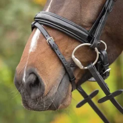 Bridon Sunset Q-essentials