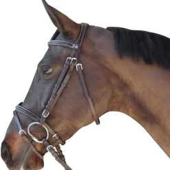 Bridon surpiqué combiné Canter
