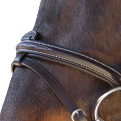 Bridon surpiqué combiné Canter