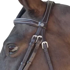 Bridon surpiqué combiné Canter