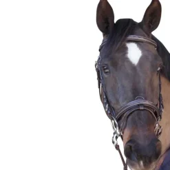 Bridon surpiqué combiné Canter