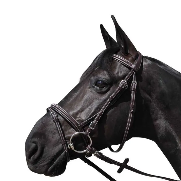 Bridon Wellington Flags&Cup