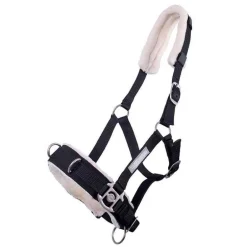 Caveçon avec mouton QHP