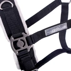 Caveçon avec mouton QHP