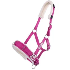 Caveçon avec mouton QHP