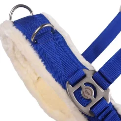 Caveçon avec mouton QHP