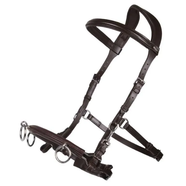 Caveçon cuir multifonctionnel en cuir QHP