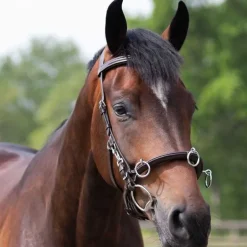 Caveçon cuir multifonctionnel en cuir QHP