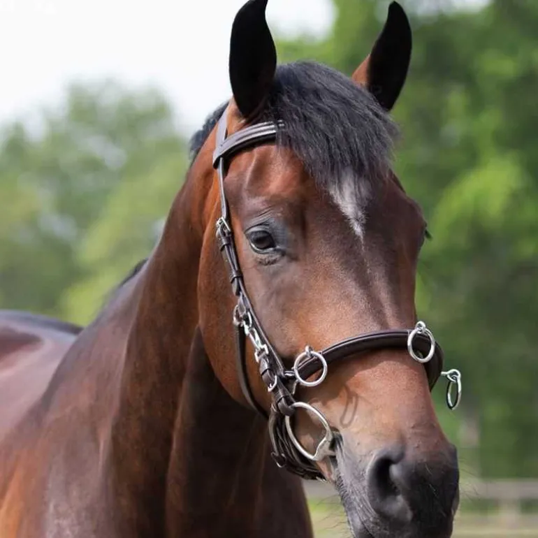 Caveçon cuir multifonctionnel en cuir QHP