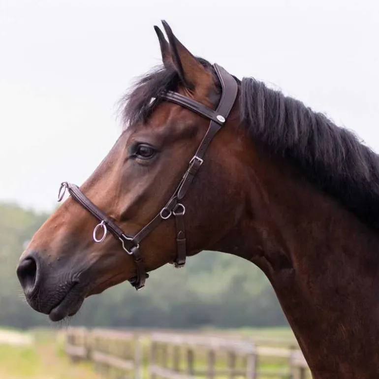 Caveçon cuir multifonctionnel en cuir QHP