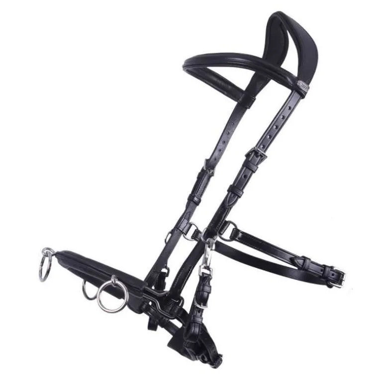 Caveçon cuir multifonctionnel en cuir QHP