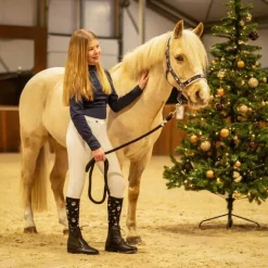 Chaussettes d'équitation Noël