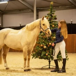 Chaussettes d'équitation Noël