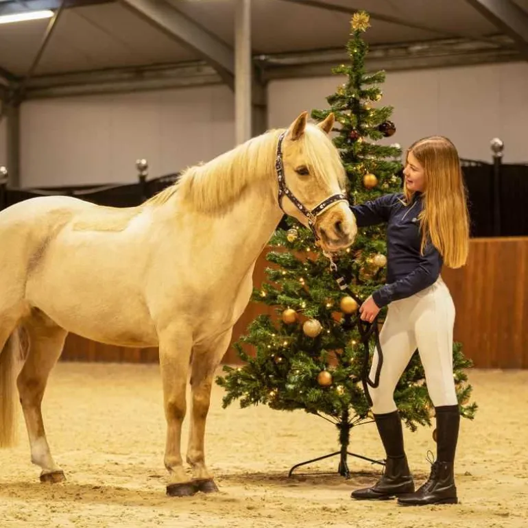 Chaussettes d'équitation Noël