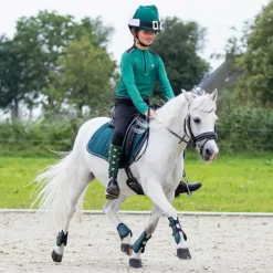 Chaussettes Noël QHP